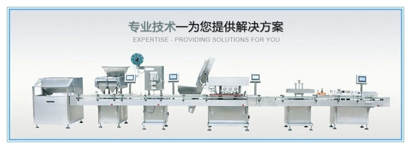 CH-200 Manufacturing Pharmaceutical Trough Mixer Machine for Mixing Paste Materials