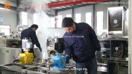 Linea di produzione per la lavorazione della macchina per la lavorazione degli alimenti in pezzi di proteine ​​di soia a base di carne vegetale testurizzata